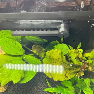 Lauren added a photo of their purchase