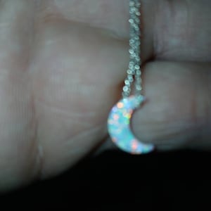 Wade added a photo of their purchase