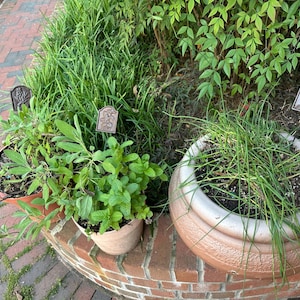 Maria-Elena added a photo of their purchase
