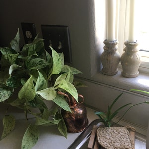 Chris added a photo of their purchase