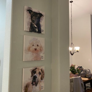 TS added a photo of their purchase