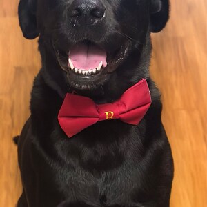 Hannah ha añadido una foto de su compra