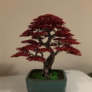 Sam added a photo of their purchase