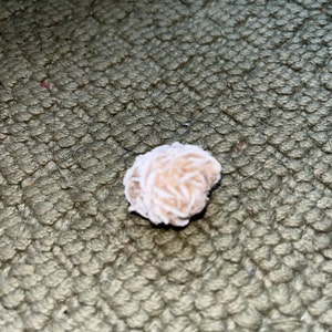 Alexandra added a photo of their purchase