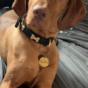 Laura added a photo of their purchase