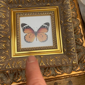 Heather added a photo of their purchase