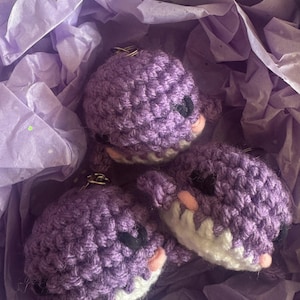Molly added a photo of their purchase