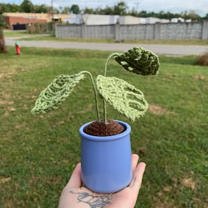 Amy added a photo of their purchase