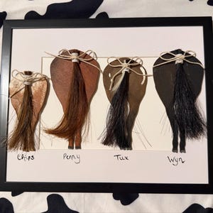 Kim added a photo of their purchase