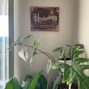 Darcy added a photo of their purchase