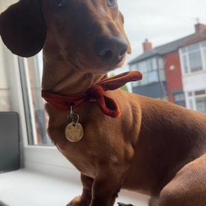 Shannon added a photo of their purchase