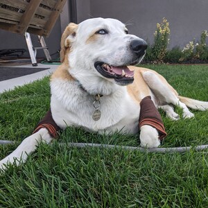 Karen added a photo of their purchase