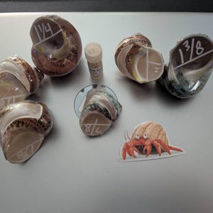 Sallie added a photo of their purchase