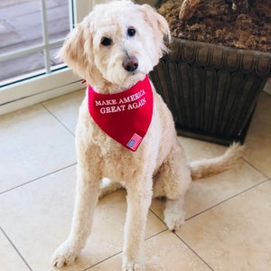 Tracy ha añadido una foto de su compra