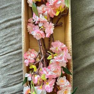Anna added a photo of their purchase