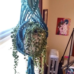 Melissa added a photo of their purchase