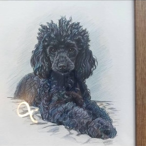 Ebony ha añadido una foto de su compra