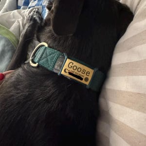 Catie added a photo of their purchase