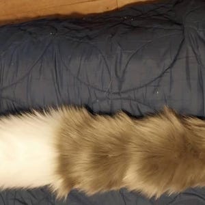 Jeffery ha añadido una foto de su compra