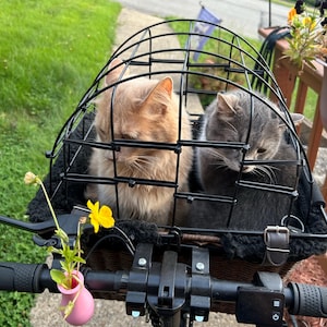 Lisa added a photo of their purchase