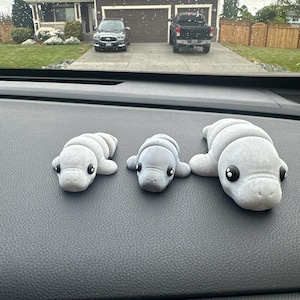 Maddison added a photo of their purchase