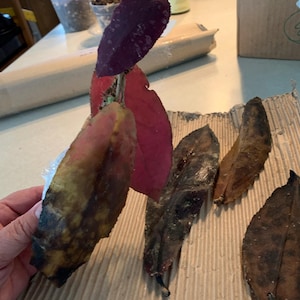 Evelyn hat ein Foto des gekauften Artikels hinzugefügt