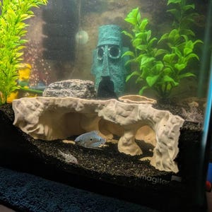 Jacob added a photo of their purchase