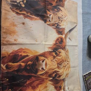 Anne added a photo of their purchase