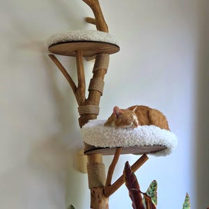 laura added a photo of their purchase