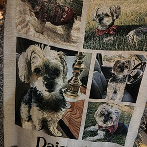 Holly added a photo of their purchase