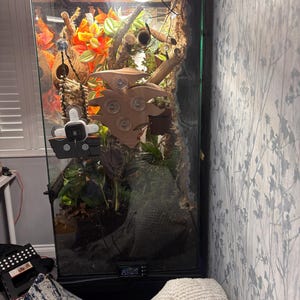 megan added a photo of their purchase