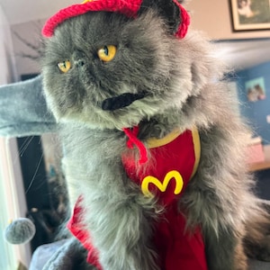 Missy hat ein Foto des gekauften Artikels hinzugefügt