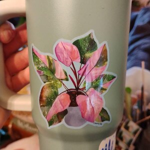 Mailene added a photo of their purchase
