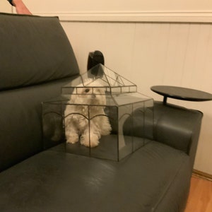 isabellllllar added a photo of their purchase