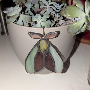 Erin added a photo of their purchase