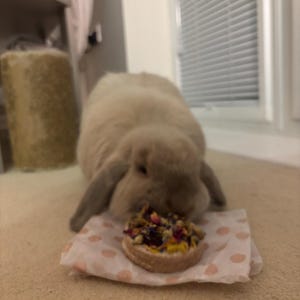 Madison added a photo of their purchase