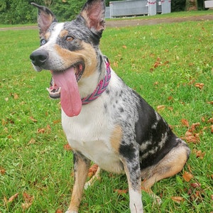 Jasmin added a photo of their purchase