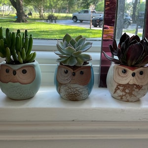 MJ ha añadido una foto de su compra