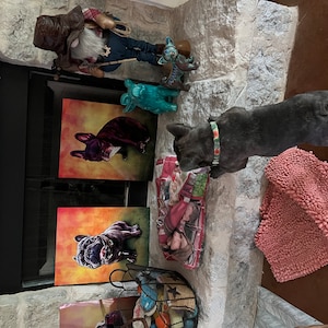 Kristeen added a photo of their purchase