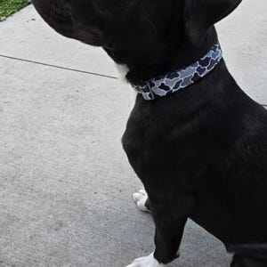 Denise added a photo of their purchase
