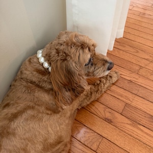 Judy added a photo of their purchase
