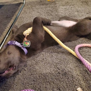 Sapphire added a photo of their purchase