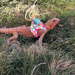 Sydney added a photo of their purchase