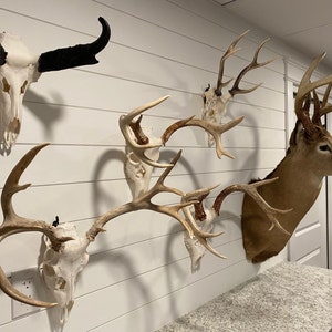 W added a photo of their purchase