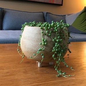 Donna a ajouté une photo de son achat