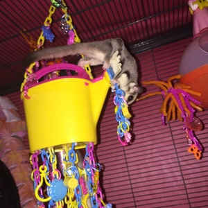 Elizabeth added a photo of their purchase