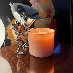 Nicolette added a photo of their purchase