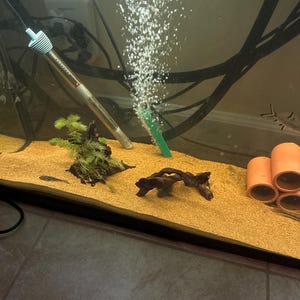 Dante added a photo of their purchase