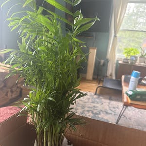 Laura added a photo of their purchase