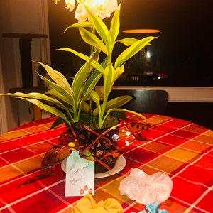 Lise added a photo of their purchase
